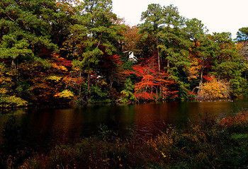 Outdoor Pictures 20