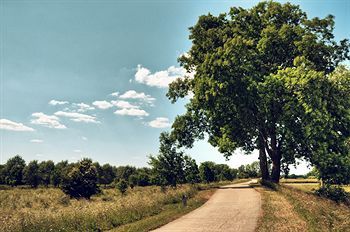 Outdoor Pictures 22