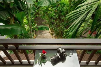 Outdoor Pictures 20