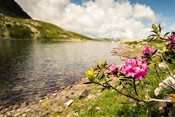 Outdoor Pictures 20