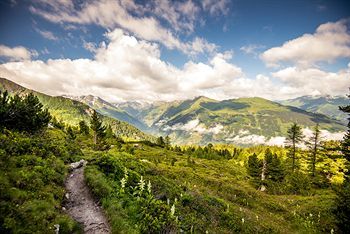 Outdoor Pictures 21
