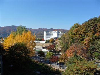 Outdoor Pictures 24