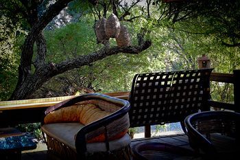 Outdoor Pictures 24