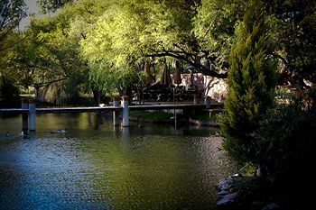 Outdoor Pictures 22