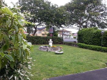 Outdoor Pictures 17