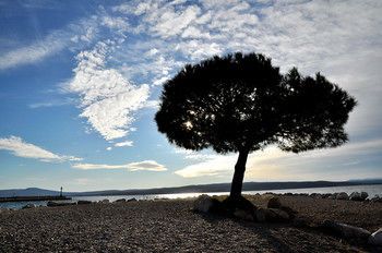 Outdoor Pictures 21