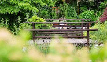 Outdoor Pictures 20