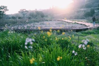 Outdoor Pictures 20