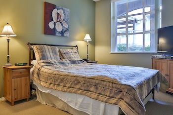 Glacier Lodge - Luxury Condo