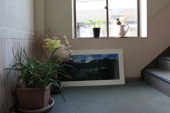 Outdoor Pictures 8