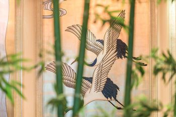 Outdoor Pictures 23