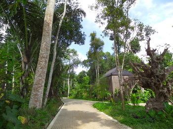 Senetan Villas and Spa Resort