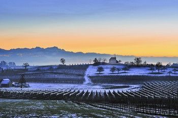 Outdoor Pictures 19