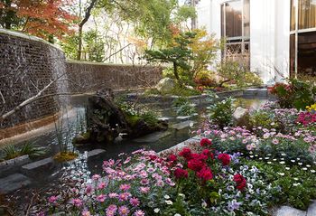 Outdoor Pictures 22