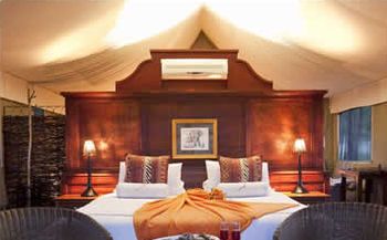 The Springbok Lodge