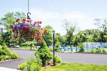 Outdoor Pictures 24