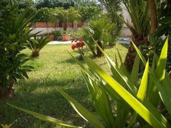 Outdoor Pictures 16