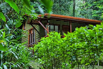 Jaguarundi Lodge - Monteverde