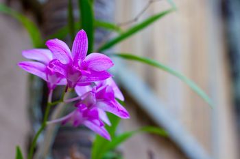 Outdoor Pictures 16