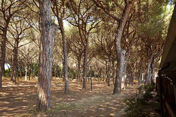 Outdoor Pictures 21