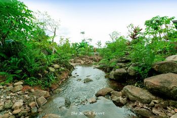 Outdoor Pictures 20