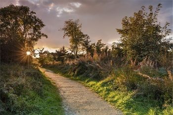 Outdoor Pictures 21
