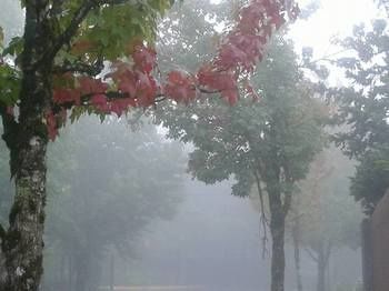 Outdoor Pictures 22
