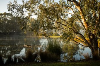 Outdoor Pictures 22