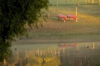 Outdoor Pictures 19