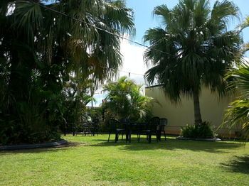 Outdoor Pictures 21