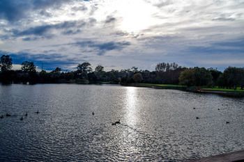Outdoor Pictures 21