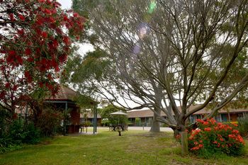 Outdoor Pictures 16