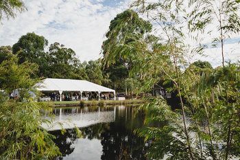 Forest Rise Chalets and Lodge