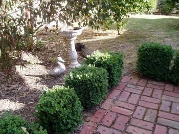 Outdoor Pictures 22
