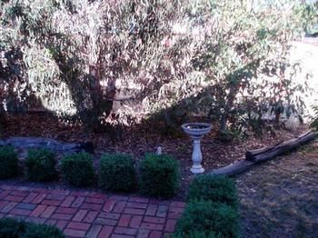 Outdoor Pictures 23