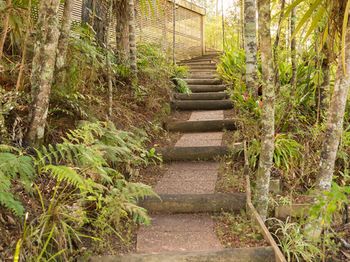 Outdoor Pictures 23