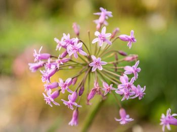 Outdoor Pictures 20