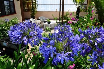 Outdoor Pictures 20