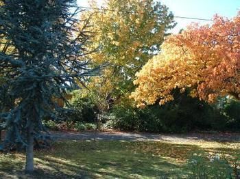 Outdoor Pictures 16