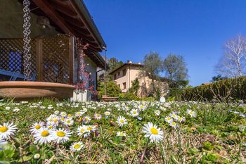 Outdoor Pictures 23