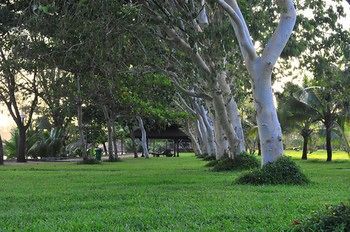 Outdoor Pictures 19