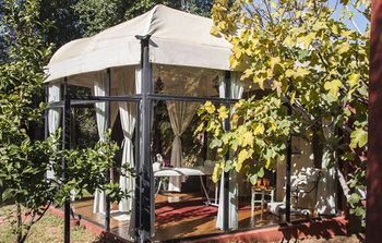 Outdoor Pictures 24