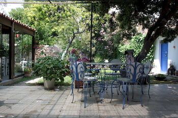 Outdoor Pictures 20