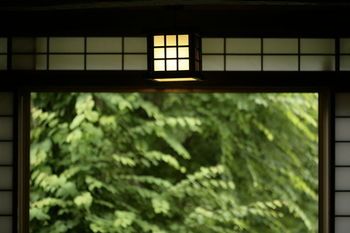 Outdoor Pictures 21