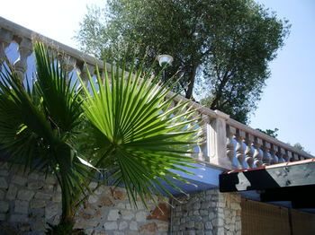 Outdoor Pictures 11
