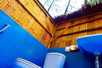 Outdoor Pictures 24