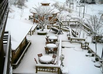 Outdoor Pictures 24