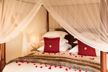 Royal Madikwe Luxury Safari Lodge