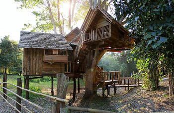 Outdoor Pictures 24
