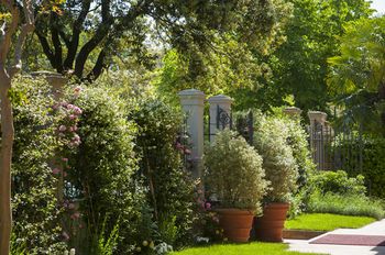 Outdoor Pictures 22
